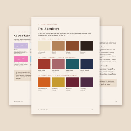 Aperçu du dossier Ma Palette : tes 12 couleurs signature